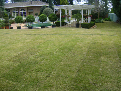 Templestowe – Residential Lawn